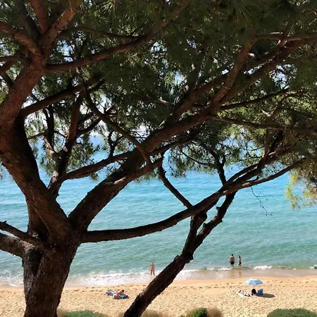 An Der Strandpromenade * Arenys de Mar